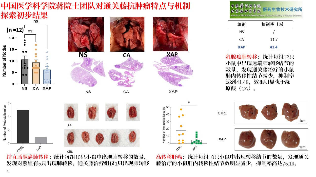 幻灯片14.JPG