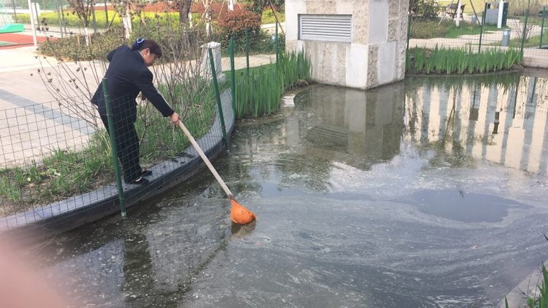 9清理水池表面浮沫1.jpg